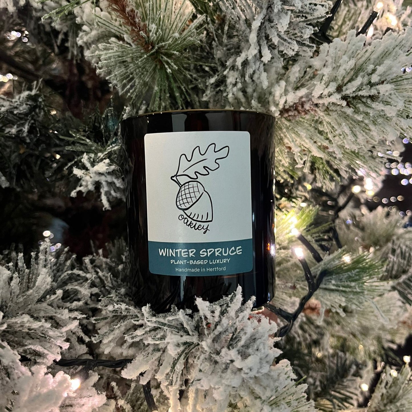 Winter Spruce Candle