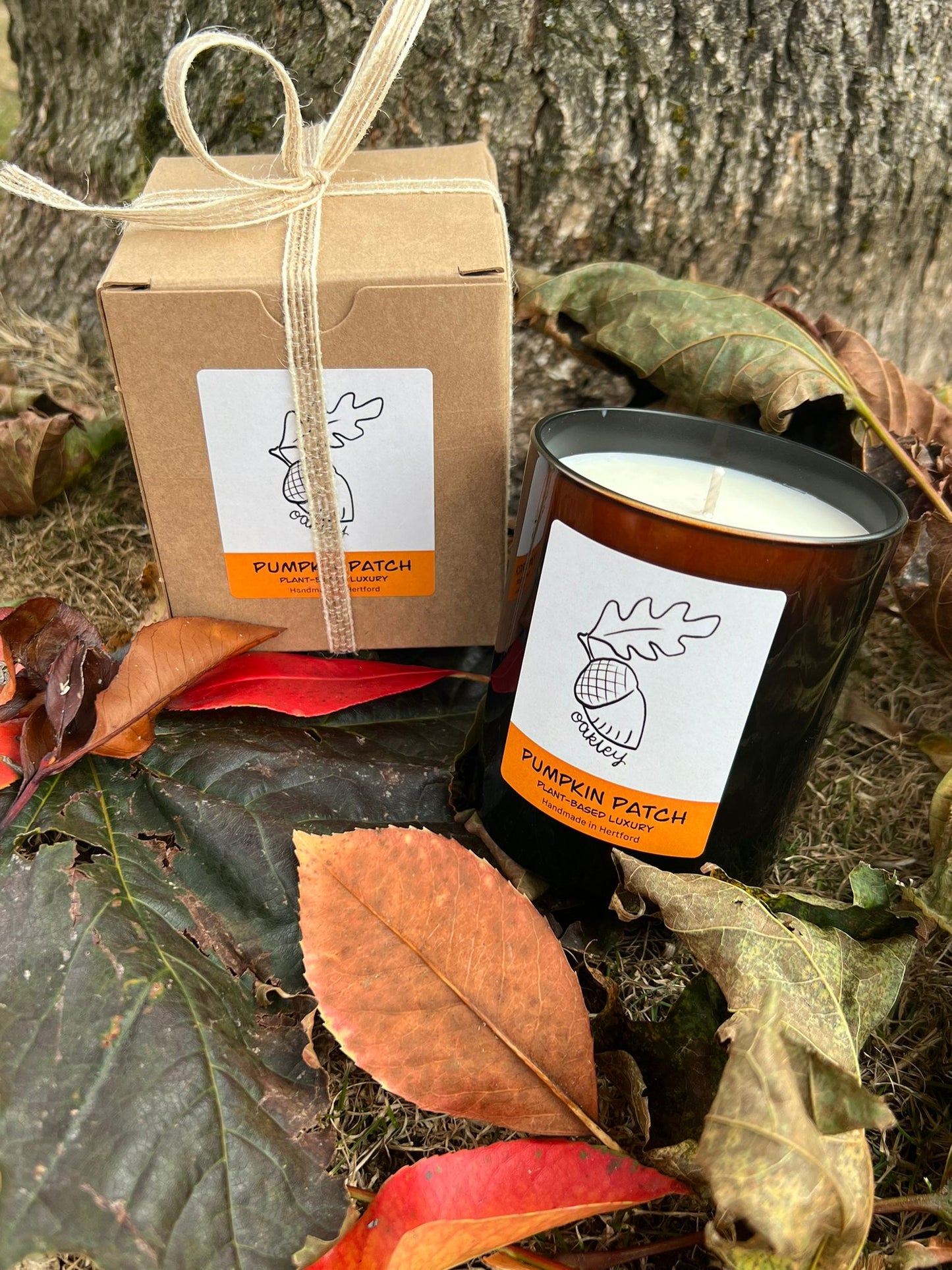 Pumpkin Patch Candle